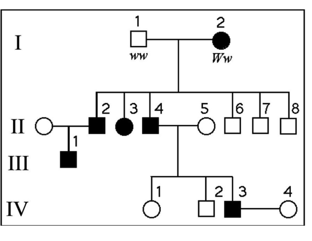 1
2
I
ww
Ww
2 3 4
6 7
II
III
1
2 3
4
IV
