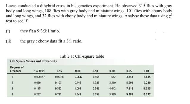 Lucas conducted a dihybrid cross in his genetics experiment. He observed 315 flies with gray
body and long wings, 108 flies with gray body and miniature wings, 101 flies with ebony body
and long wings, and 32 flies with ebony body and miniature wings. Analyse these data using
test to see if
(i)
they fit a 9:3:3:1 ratio.
(ii)
the gray : ebony data fit a 3:1 ratio.
Table 1: Chi-square table
Chi Square Values and Probability
Degrees of
Freedom
P = 0.99
0.95
0.80
0.50
0.20
0.05
0.01
0.000157
0.00393
0.0642
0.455
1.642
3.841
6.635
2
0.020
0.103
0.446
1.386
3.219
5.991
9.210
0.115
0.352
1.005
2.366
4.642
7.815
11.345
4.
0.297
0.711
1.649
3.357
5.989
9.488
13.277
