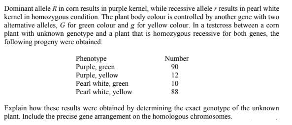 Dominant allele R in corn results in purple kernel, while recessive allele r results in pearl white
kernel in homozygous condition. The plant body colour is controlled by another gene with two
alternative alleles, G for green colour and g for yellow colour. In a testcross between a corn
plant with unknown genotype and a plant that is homozygous recessive for both genes, the
following progeny were obtained:
Phenotype
Purple, green
Purple, yellow
Pearl white, green
Pearl white, yellow
Number
90
12
10
88
Explain how these results were obtained by determining the exact genotype of the unknown
plant. Include the precise gene arrangement on the homologous chromosomes.
