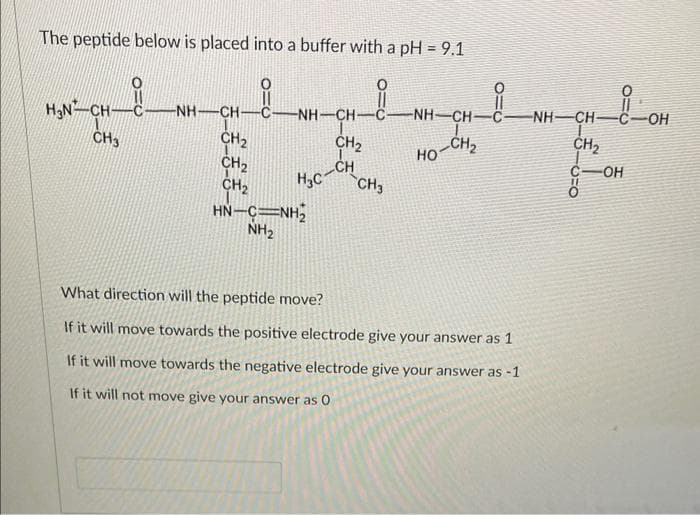 The peptide below is placed into a buffer with a pH = 9.1
i
H3N-CH-C- -NH–CH-CNH-CH-C-
CH3
CH₂
CH₂
CH₂
H₂C
HN-C=NH,
NH₂
CH₂
CH
CH3
NH—CH_{
HỌ-CH,
NH–CH C-OH
CH₂
1862
What direction will the peptide move?
If it will move towards the positive electrode give your answer as 1
If it will move towards the negative electrode give your answer as -1
If it will not move give your answer as 0
-OH