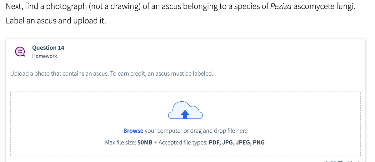 Next, find a photograph (not a drawing) of an ascus belonging to a species of Peziza ascomycete fungi.
Label an ascus and upload it.
Question 14
Homework
Upload a photo that contains an ascus. To earn credit, an ascus must be labeled.
Browse your computer or drag and drop file here
Max file size: 50MB Accepted file types: PDF, JPG, JPEG, PNG
●
2100 r