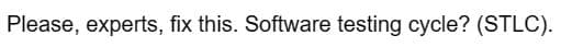 Please, experts, fix this. Software testing cycle? (STLC).