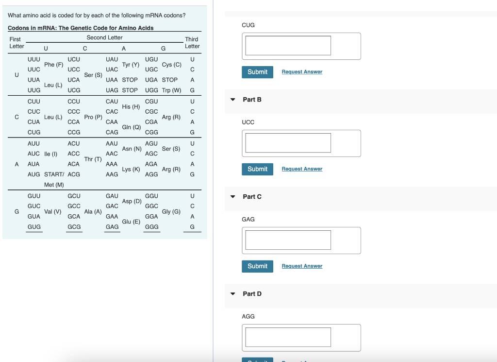 What amino acid is coded for by each of the following MRNA codons?
CUG
Codons in mRNA: The Genetic Code for Amino Acids
Second Letter
First
Letter
Third
Letter
A
G
UUU
UCU
UAU
UGU
Phe (F)
Tyr (Y)
Cys (C)
UUC
UCC
UAC
UGC
Submit
Request Answer
Ser (S)
UUA
UCA
UAA STOP
UGA STOP
A
Leu (L)
UUG
UCG
UAG STOP
UGG Trp (W)
G
CUU
CCU
Part B
CAU
His (H)
CGU
U
CCC
Leu (L)
CUC
CAC
CGC
C
Pro (P)
Arg (R)
CUA
CA
CAA
CGA
A
UCC
Gin (Q)
CUG
CCG
CAG
CGG
G
AUU
ACU
AAU
AGU
Asn (N)
AGC
Ser (S)
AUC lle (I)
ACC
AAC
Thr (T)
A
AUA
АCА
AAA
AGA
A
Arg (R)
G
Request Answer
Lys (K)
Submit
AUG START/I ACG
AAG
AGG
Met (M)
GUU
GCU
GAU
GGU
U
Part C
Asp (D)
GUC
G
GCC
GAC
GGC
Val (V)
Ala (A)
Gly (G)
A
GUA
GCA
GAA
GGA
GAG
Glu (E)
GUG
GCG
GAG
GGG
Submit
Request Answer
Part D
AGG
