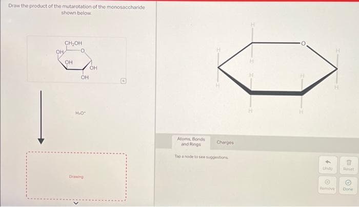 Draw the product of the mutarotation of the monosaccharide
shown below.
OH
CH₂OH
OH
OH
H₂O'
Drawing
OH
Atoms, Bonds
and Rings
Tap a node to see suggestions
Charges
Undo
Ⓡ
Remove
E
(
Done