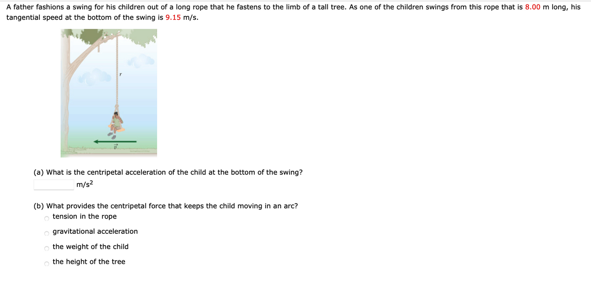 A father fashions a swing for his children out of a long rope that he fastens to the limb of a tall tree. As one of the children swings from this rope that is 8.00 m long, his
tangential speed at the bottom of the swing is 9.15 m/s.
(a) What is the centripetal acceleration of the child at the bottom of the swing?
m/s2
(b) What provides the centripetal force that keeps the child moving in an arc?
o tension in the rope
o gravitational acceleration
o the weight of the child
o the height of the tree
