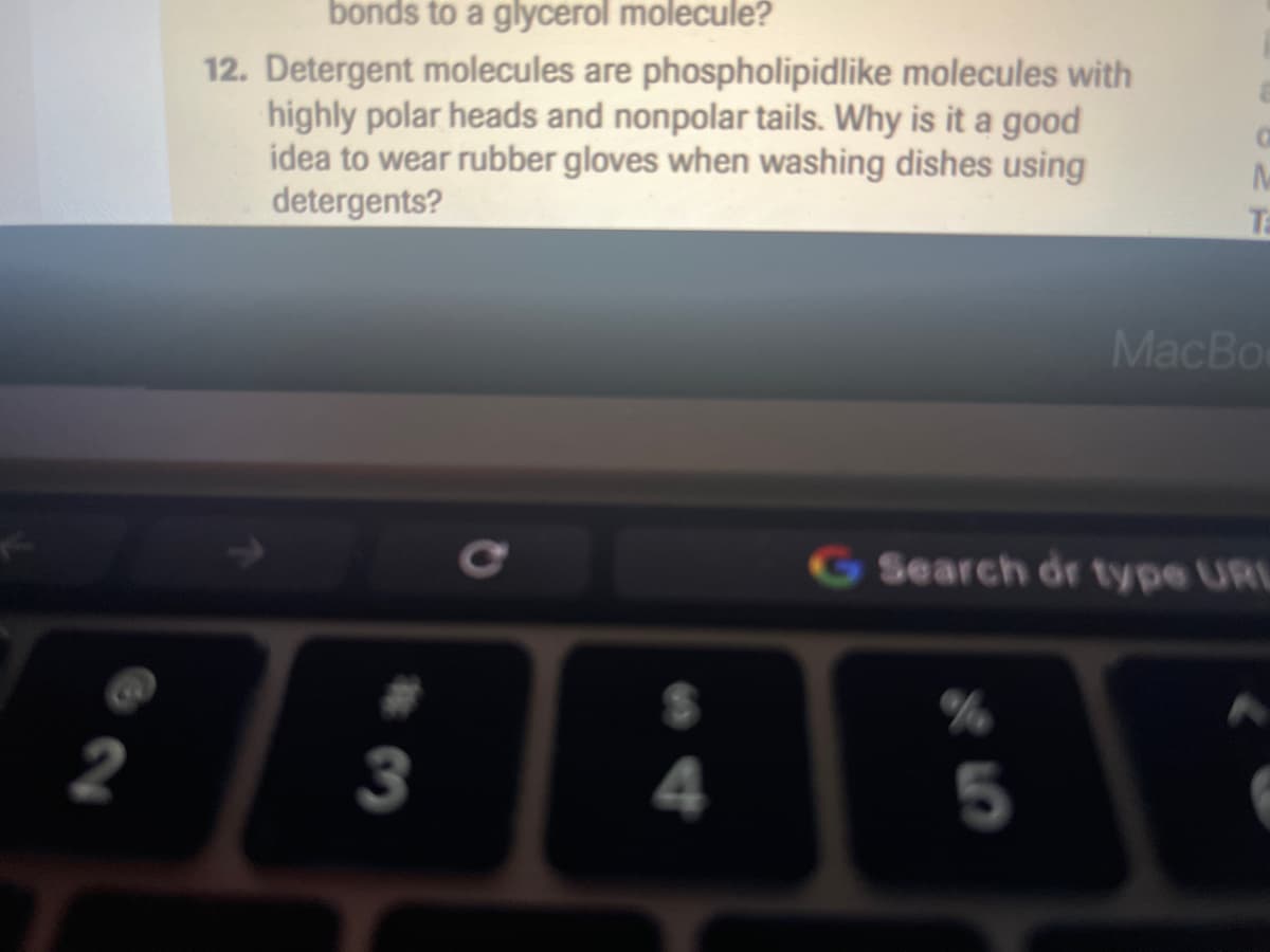 2
bonds to a glycerol molecule?
12. Detergent molecules are phospholipidlike molecules with
highly polar heads and nonpolar tails. Why is it a good
idea to wear rubber gloves when washing dishes using
detergents?
3
4
O
M
T
MacBo
G Search dr type URL
5