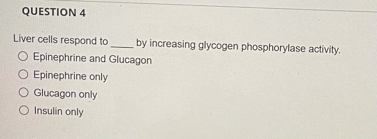 QUESTION 4
Liver cells respond to
by increasing glycogen phosphorylase activity.
O Epinephrine and Glucagon
O Epinephrine only
O Glucagon only
O Insulin only
