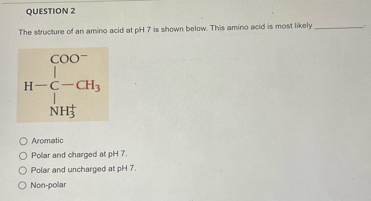 QUESTION 2
The structure of an amino acid at pH 7 is shown below. This amino acid is most likely
COO-
H-C-CH3
NH
O Aromatic
Polar and charged at pH 7.
Polar and uncharged at pH 7.
O Non-polar
