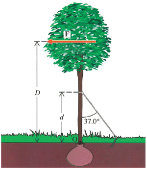 F
d
37.0°
