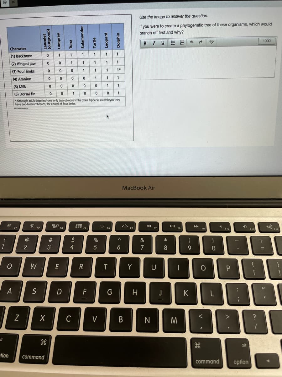 Use the image to answer the question.
If you were to create a phylogenetic tree of these organisms, which would
branch off first and why?
1000
BI UE E
Character
(1) Backbone
1
1
1
1
1
1
1
(2) Hinged jaw
(3) Four limbs
1
1*
(4) Amnion
1
1
1
(5) Milk
(6) Dorsal fin
*Although adult dolphins have only two obvious limbs (their flippers), as embryos they
have two hind-limb buds, for a total of four limbs.
MacBook Air
80
II
F8
4)) 12
►►
F1
F2
F3
F4
FS
F6
F7
F9
F10
F11
@
#
$
%
&
*
3
4
6
7
8
9.
Q
W
E
Y
P.
A
S
F
J
K
C
V
B
alt
tion
command
command
option
--
N
