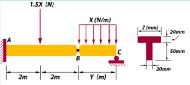 1.5X (N)
X (N/m)
Z (mm)
20mm
T.
50mm
B
20mm
2m
2m
Y (m)
