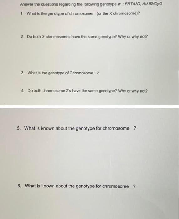 Answer the questions regarding the following genotype w ; FRT42D, Ark82/Cyo
1. What is the genotype of chromosome (or the X chromosome)?
2. Do both X chromosomes have the same genotype? Why or why not?
3. What is the genotype of Chromosome ?
4. Do both chromosome 2's have the same genotype? Why or why not?
5. What is known about the genotype for chromosome ?
6. What is known about the genotype for chromosome ?
