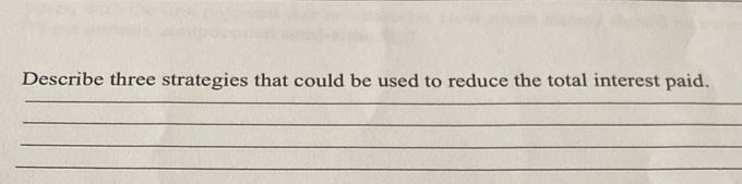 Describe three strategies that could be used to reduce the total interest paid.
