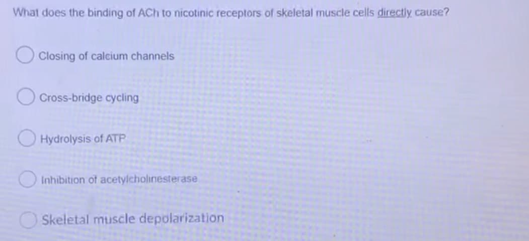 What does the binding of ACh to nicotinic receptors of skeletal muscle cells directly cause?
Closing of calcium channels
Cross-bridge cycling
O Hydrolysis of ATP
O Inhibition of acetylcholinesterase
O Skeletal muscle depolarization
