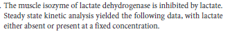 The muscle isozyme of lactate dehydrogenase is inhibited by lactate.
Steady state kinetic analysis yielded the following data, with lactate
either absent or present at a fixed concentration.
