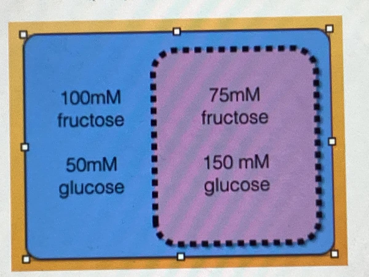 ....
100mM
75mM
fructose
fructose
50mM
150mM
glucose
glucose
