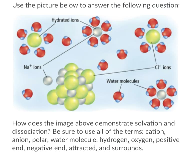 Use the picture below to answer the following question:
Hydrated ions
Nat ions
Cl- ions
Water molecules
How does the image above demonstrate solvation and
dissociation? Be sure to use all of the terms: cation,
anion, polar, water molecule, hydrogen, oxygen, positive
end, negative end, attracted, and surrounds.
