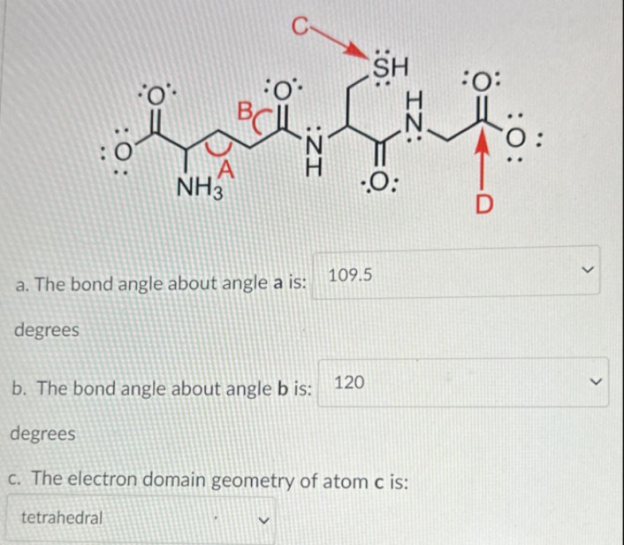 :0
O'
A
NH3
tetrahedral
O
:ZI
a. The bond angle about angle a is:
degrees
SH
0:
109.5
IZ:
b. The bond angle about angle b is: 120
degrees
c. The electron domain geometry of atom c is:
:O:
>
>