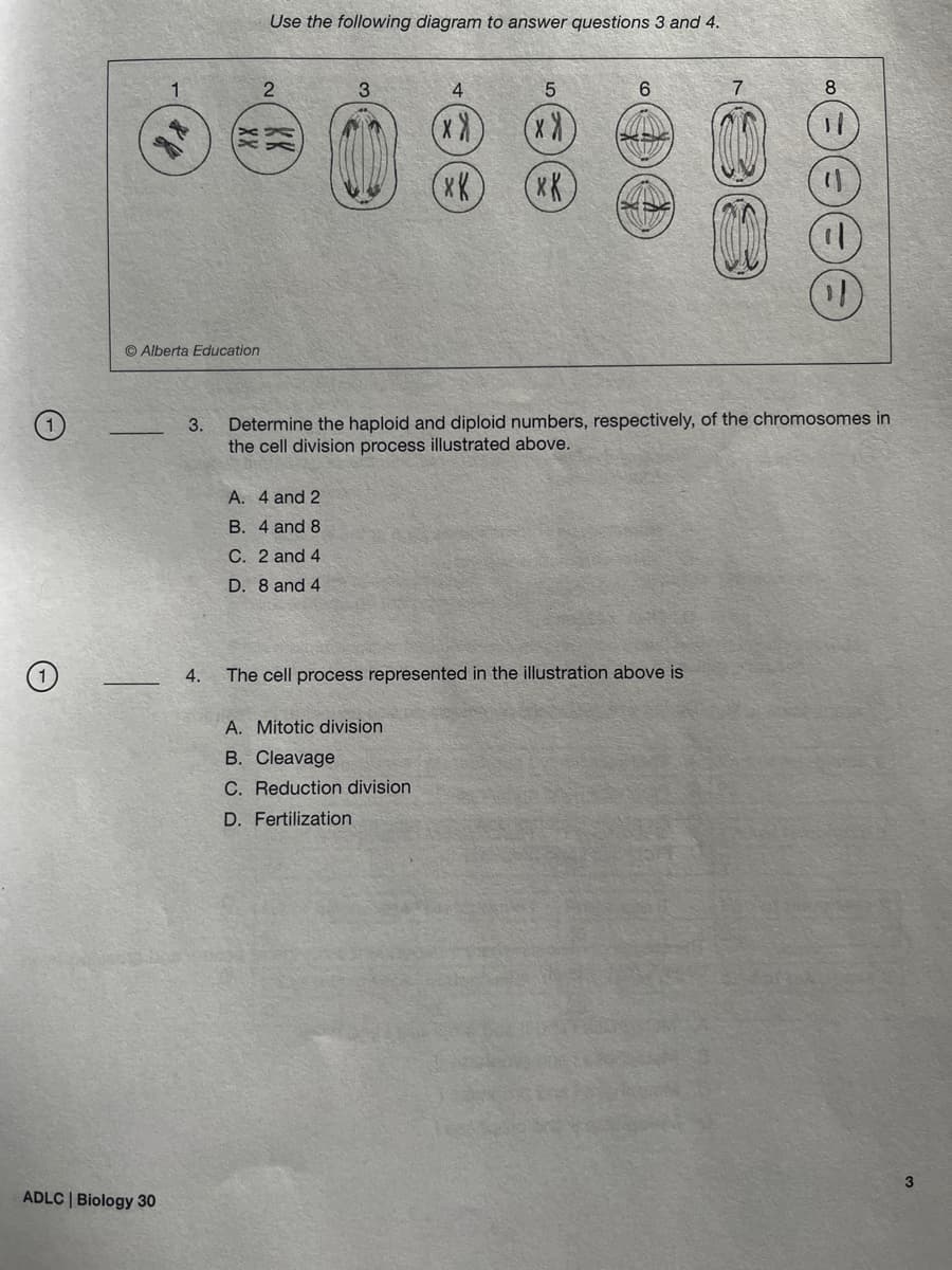 Use the following diagram to answer questions 3 and 4.
1
2
3
4
5
6
7
8
88
(x)))
(xK
Alberta Education
ADLC | Biology 30
3.
Determine the haploid and diploid numbers, respectively, of the chromosomes in
the cell division process illustrated above.
A. 4 and 2
B. 4 and 8
C. 2 and 4
D. 8 and 4
4.
The cell process represented in the illustration above is
A. Mitotic division
B. Cleavage
C. Reduction division
D. Fertilization
3