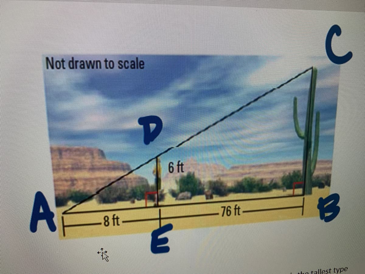 C
Not drawn to scale
6 ft
AF
-8 ft
-76 ft
tho tallest type
