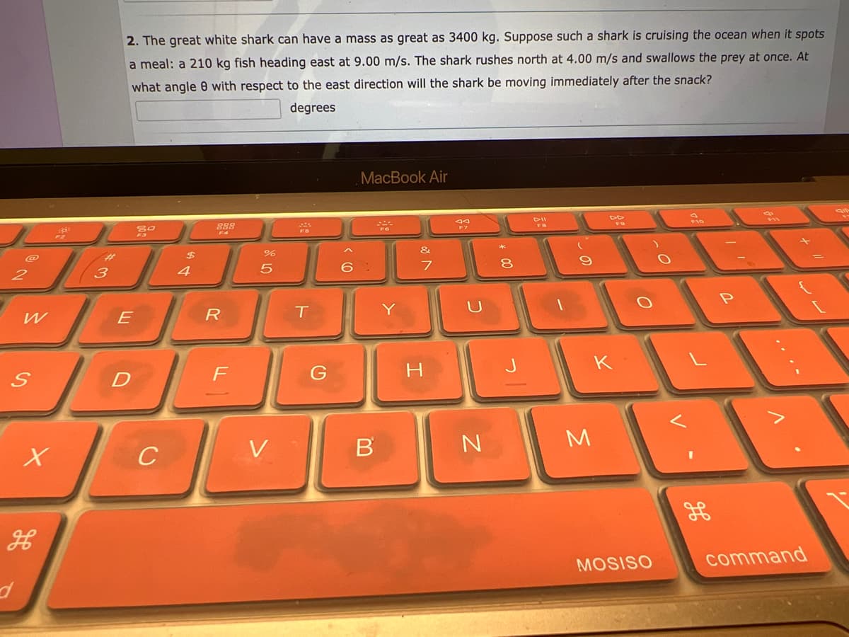 2
W
S
d
Xx
H
3
2. The great white shark can have a mass as great as 3400 kg. Suppose such a shark is cruising the ocean when it spots
a meal: a 210 kg fish heading east at 9.00 m/s. The shark rushes north at 4.00 m/s and swallows the prey at once. At
what angle 8 with respect to the east direction will the shark be moving immediately after the snack?
degrees
E
20
$
C
888
ODO
R
%
5
F
DEL
T
V
G
MacBook Air
6:
***
B
Y
&
7
H
N
*00
8
DII
6.
K
M
MOSISO
O
$10
P
....
command