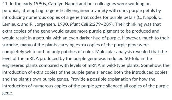 41. In the early 199Os, Carolyn Napoli and her colleagues were working on
petunias, attempting to genetically engineer a variety with dark purple petals by
introducing numerous copies of a gene that codes for purple petals (C. Napoli, C.
Lemieux, and R. Jorgensen. 1990. Plant Cell 2:279-289). Their thinking was that
extra copies of the gene would cause more purple pigment to be produced and
would result in a petunia with an even darker hue of purple. However, much to their
surprise, many of the plants carrying extra copies of the purple gene were
completely white or had only patches of color. Molecular analysis revealed that the
level of the MRNA produced by the purple gene was reduced 50-fold in the
engineered plants compared with levels of MRNA in wild-type plants. Somehow, the
introduction of extra copies of the purple gene silenced both the introduced copies
and the plant's own purple genes. Provide a possible explanation for how the
introduction of numerous copies of the purple gene silenced all copies of the purple
gene.
