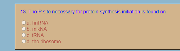 The P site necessary for protein synthesis initiation is found on

