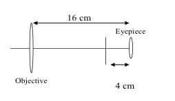 16 cm
Eyepiece
Objective
4 cm
