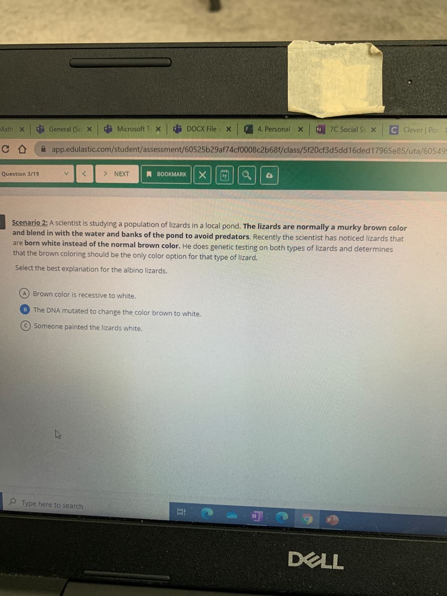 Math X
i General (Sc x
i Microsoft T X
i DOCX File
F 4. Personal x
N 7C Social St x
C Clever Por
A app.edulastic.com/student/assessment/60525b29af74cf0008c2b68f/class/5f20cf3d5dd16ded17965e85/uta/605495
Question 3/19
> NEXT
A BOOKMARK
V.
Scenario 2: A scientist is studying a population of lizards in a local pond. The lizards are normally a murky brown color
and blend in with the water and banks of the pond to avoid predators. Recently the scientist has noticed lizards that
are born white instead of the normal brown color. He does genetic testing on both types of lizards and determines
that the brown coloring should be the only color option for that type of lizard.
Select the best explanation for the albino lizards.
Brown color is recessive to white.
The DNA mutated to change the color brown to white.
C Someone painted the lizards white.
P Type here to search
DELL
