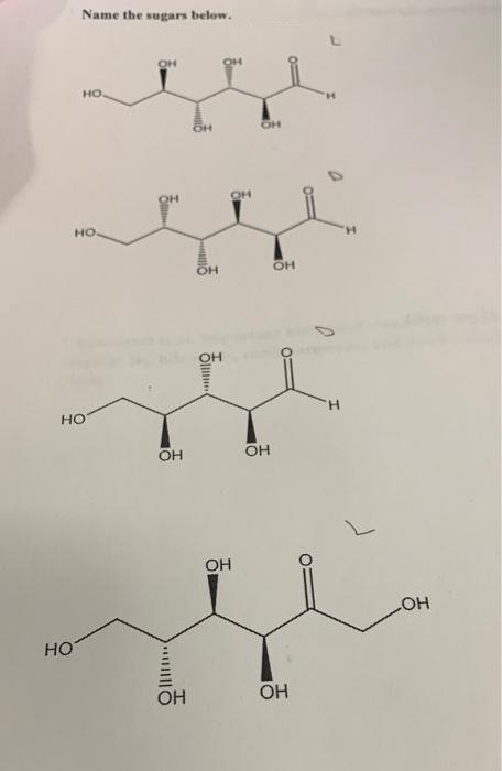 Name the sugars below.
OH
НО.
НО
НО
HO
OH
OH
OH
OH
OH
ОН
OH
ÕH
OH
OH
OH
OH