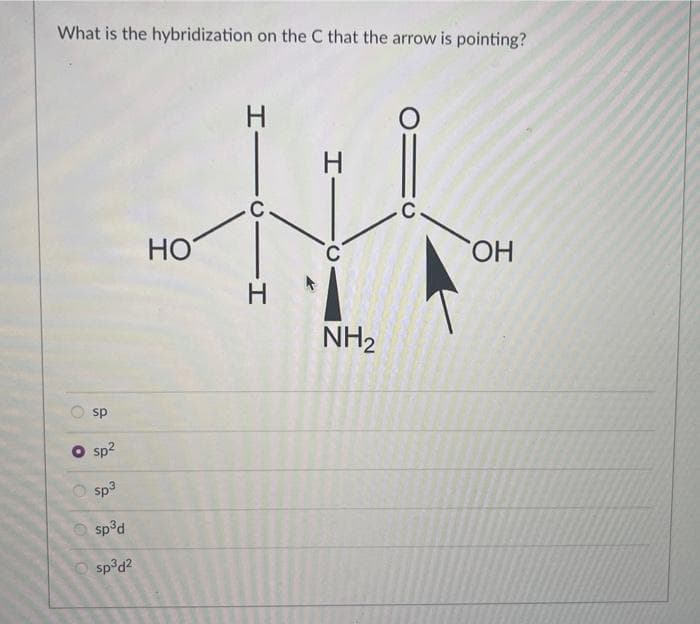 sp
O sp²
sp³
sp³d
sp³d²
What is the hybridization on the C that the arrow is pointing?
HO
C
H
ი
C
OH
I-
H
NH2