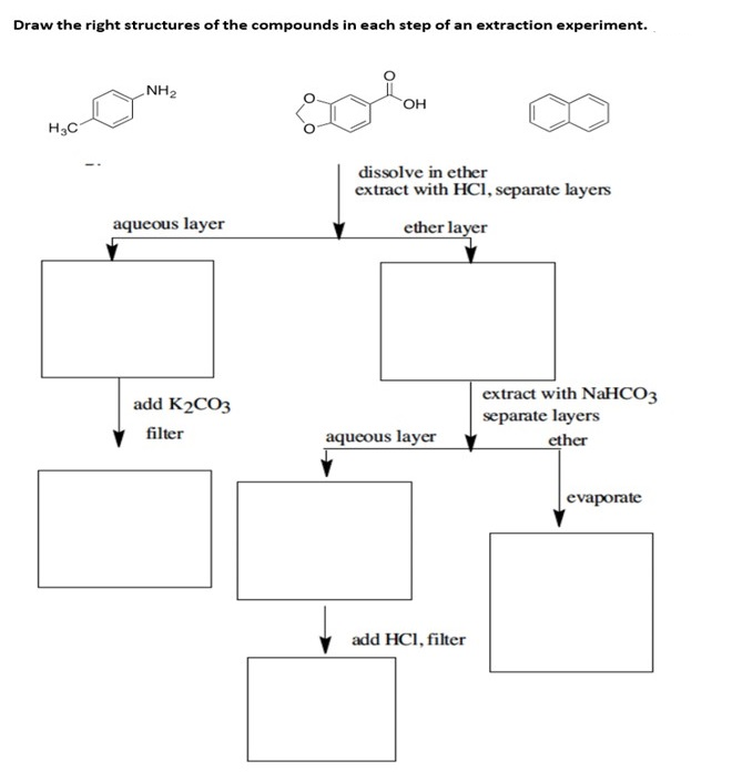 Draw the right structures of the compounds in each step of an extraction experiment.
NH2
он
H3C
dissolve in ether
extract with HCI, separate layers
aqueous layer
ether layer
extract with NaHCO3
separate layers
ether
add K2CO3
filter
aqueous layer
evaporate
add HCI, filter
