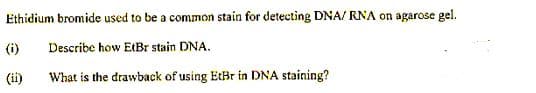 Ethidium bromide used to be a common stain for detecting DNA/ RNA on agarose gel.
(i)
Describe how EtBr stain DNA.
(ii)
What is the drawback of using EtBr in DNA staining?
