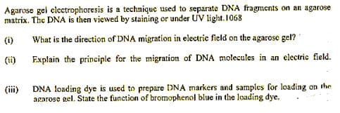 Agarose gel clectrophoresis is a technique used to separate DNA fragments on an agarose
matrix. The DNA is then viewed by staining or under UV light.1068
(i)
What is the direction of DNA migration in electric field on the agarose gel?
(ii)
Explain the principle for the migration of DNA molecules in an electric field.
(iii) DNA loading dye is used to prepare DNA markers and samples for loading on the
agarose gel. State the function of bromophenol blue in the loading dye.
