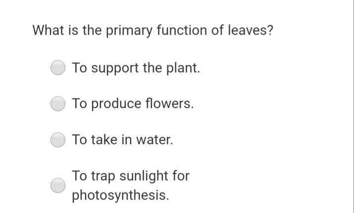 What is the primary function of leaves?
To support the plant.
To produce flowers.
To take in water.
To trap sunlight for
photosynthesis.
