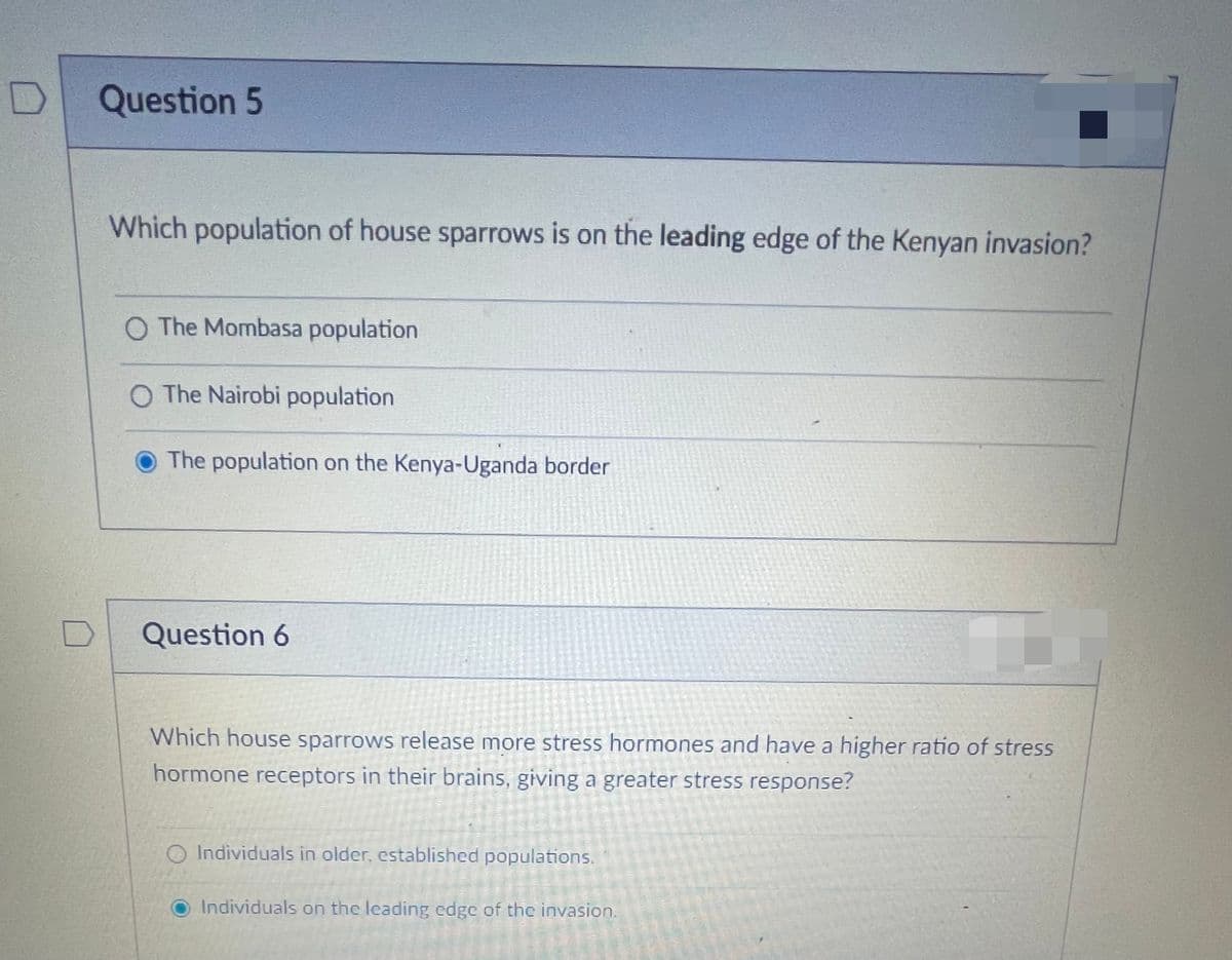 D
Question 5
Which population of house sparrows is on the leading edge of the Kenyan invasion?
O The Mombasa population
O The Nairobi population
The population on the Kenya-Uganda border
Question 6
Which house sparrows release more stress hormones and have a higher ratio of stress
hormone receptors in their brains, giving a greater stress response?
Individuals in older, established populations.
Individuals on the leading edge of the invasion.