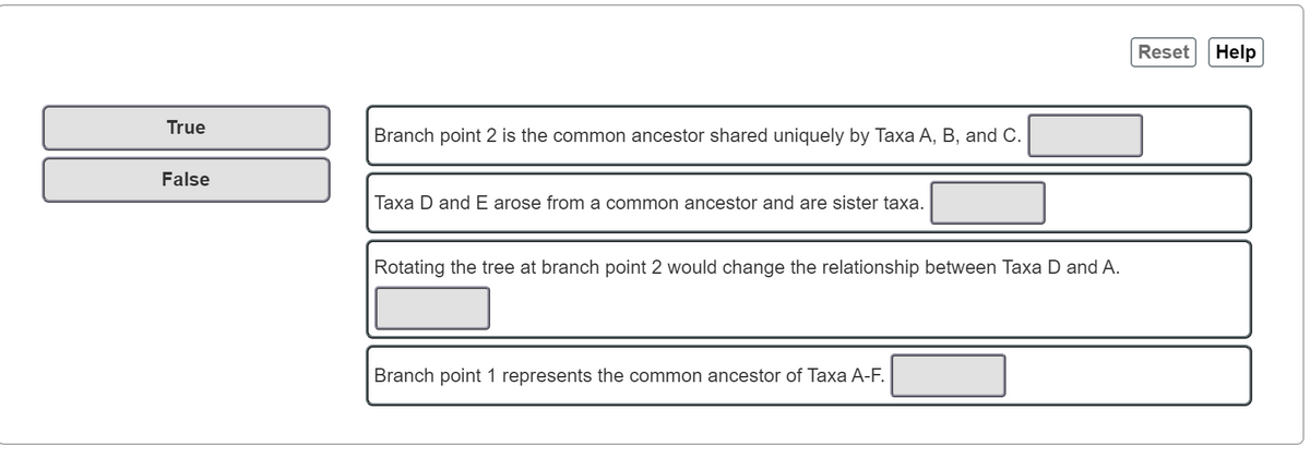 True
False
Branch point 2 is the common ancestor shared uniquely by Taxa A, B, and C.
Taxa D and E arose from a common ancestor and are sister taxa.
Rotating the tree at branch point 2 would change the relationship between Taxa D and A.
Branch point 1 represents the common ancestor of Taxa A-F.
Reset Help