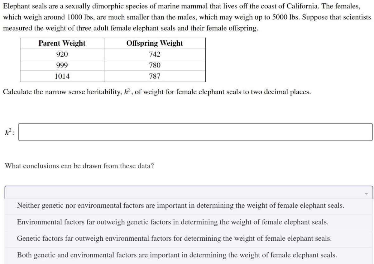 Elephant seals are a sexually dimorphic species of marine mammal that lives off the coast of California. The females,
which weigh around 1000 lbs, are much smaller than the males, which may weigh up to 5000 lbs. Suppose that scientists
measured the weight of three adult female elephant seals and their female offspring.
Parent Weight
920
999
1014
Offspring Weight
742
780
787
Calculate the narrow sense heritability, h², of weight for female elephant seals to two decimal places.
h²:
What conclusions can be drawn from these data?
Neither genetic nor environmental factors are important in determining the weight of female elephant seals.
Environmental factors far outweigh genetic factors in determining the weight of female elephant seals.
Genetic factors far outweigh environmental factors for determining the weight of female elephant seals.
Both genetic and environmental factors are important in determining the weight of female elephant seals.