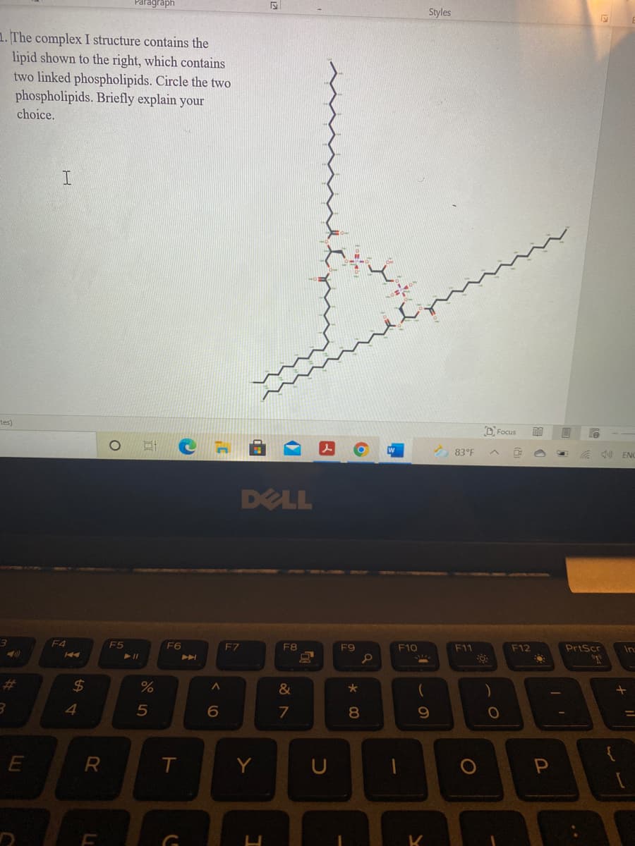 **Educational Website Content:**

---

### Question:

The complex I structure contains the lipid shown to the right, which contains two linked phospholipids. Circle the two phospholipids. Briefly explain your choice.

### Diagram Description:

To the right of the text, there is a diagram depicting the molecular structure of a lipid. The lipid structure consists of a long hydrocarbon chain, indicative of fatty acid tails, linked to a region with several atoms arranged in groups that likely represent the headgroups of phospholipids. The diagram seems to represent a complex lipid structure, possibly with two distinct phospholipid components connected.

### Explanation:

In the given lipid diagram, the structures that form the phospholipids can be identified by looking for distinct regions that include both a hydrophilic (water-attracting) head and hydrophobic (water-repelling) tails. Typically, the hydrophilic head contains a phosphate group (often represented with 'P' or 'O - P' bonded atoms), while the hydrophobic tails are long hydrocarbon chains. 

- **Hydrophobic Tails**: These are long chains of carbon and hydrogen (C-H) as seen extending away from the central region.
- **Hydrophilic Heads**: Characterized by the presence of a phosphate group (P) within the structure often connected to other molecules like glycerol.

By circling the distinguishing phospholipid head regions connected to the hydrophobic tails, one can identify the two linked phospholipids within the overall complex lipid structure.

▶ **Note for Students**: When identifying phospholipids in a structure, always look for the signature phosphate group which differentiates the head from the long hydrocarbon chains of the tails.

---

**[Insert Diagram Here]**

---
