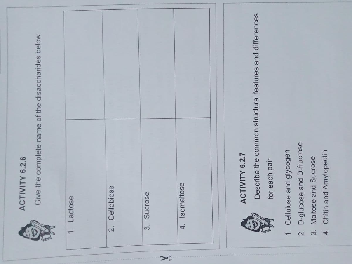 ACTIVITY 6.2.6
Give the complete name of the disaccharides below:
1. Lactose
2. Cellobiose
3. Sucrose
4. Isomaltose
ACTIVITY 6.2.7
Describe the common structural features and differences
for each pair
1. Cellulose and glycogen
2. D-glucose and D-fructose
3. Maltose and Sucrose
4. Chitin and Amylopectin
