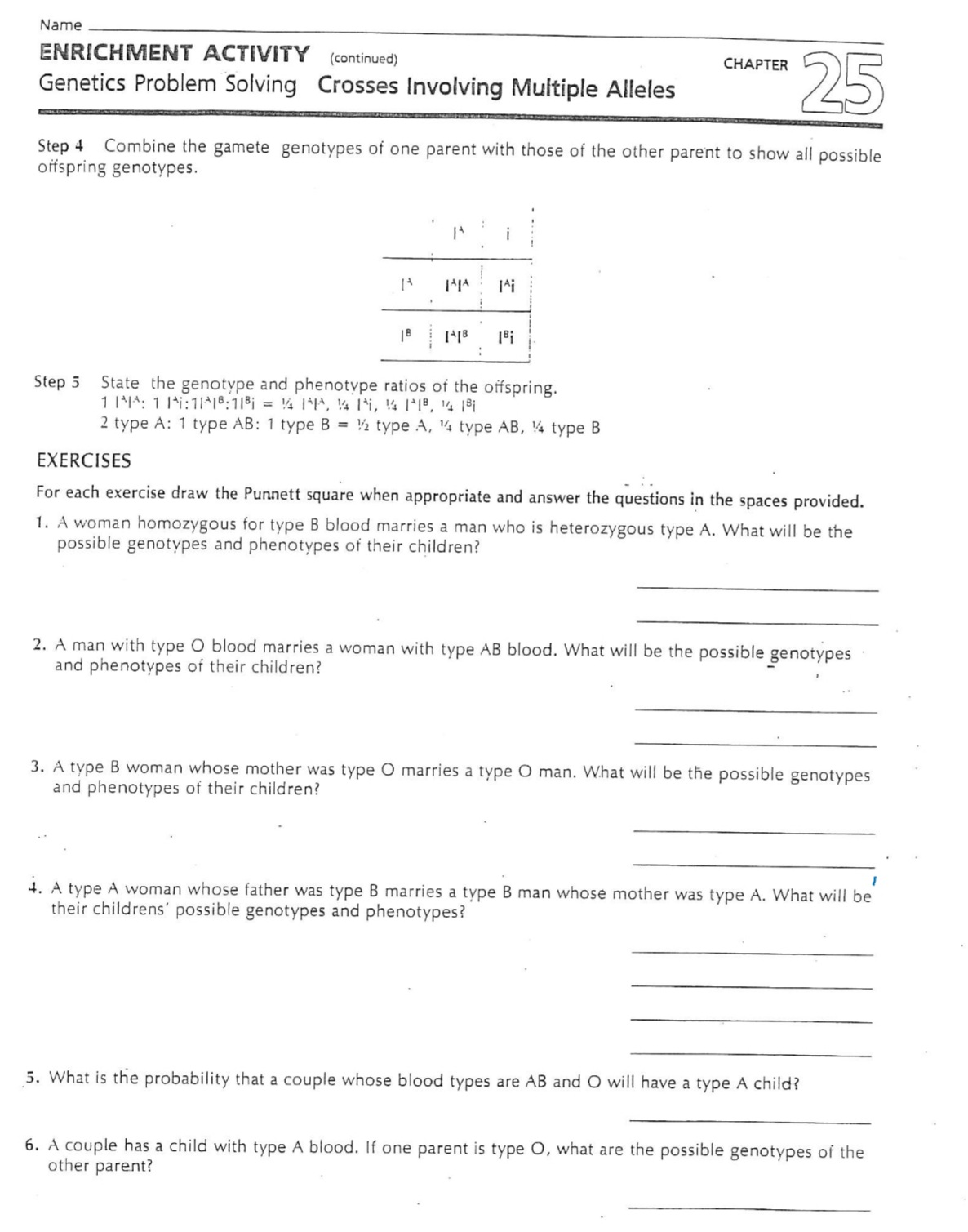 Name
ENRICHMENT ACTIVITY (continued)
Genetics Problem Solving Crosses Involving Multiple Alleles
25
Step 4
Combine the gamete genotypes of one parent with those of the other parent to show all possible
offspring genotypes.
14
JAJA I^i
|8 [+18 1Bi
Step 5 State the genotype and phenotype ratios of the offspring.
1 : 1 Pi: 1118: 118 = 141, 141, 148, 1418
2 type A: 1 type AB: 1 type B = 1/2 type A, 14 type AB, 4 type B
CHAPTER
EXERCISES
For each exercise draw the Punnett square when appropriate and answer the questions in the spaces provided.
1. A woman homozygous for type B blood marries a man who is heterozygous type A. What will be the
possible genotypes and phenotypes of their children?
2. A man with type O blood marries a woman with type AB blood. What will be the possible genotypes
and phenotypes of their children?
3. A type B woman whose mother was type O marries a type O man. What will be the possible genotypes
and phenotypes of their children?
4. A type A woman whose father was type B marries a type B man whose mother was type A. What will be
their childrens' possible genotypes and phenotypes?
5. What is the probability that a couple whose blood types are AB and O will have a type A child?
6. A couple has a child with type A blood. If one parent is type O, what are the possible genotypes of the
other parent?