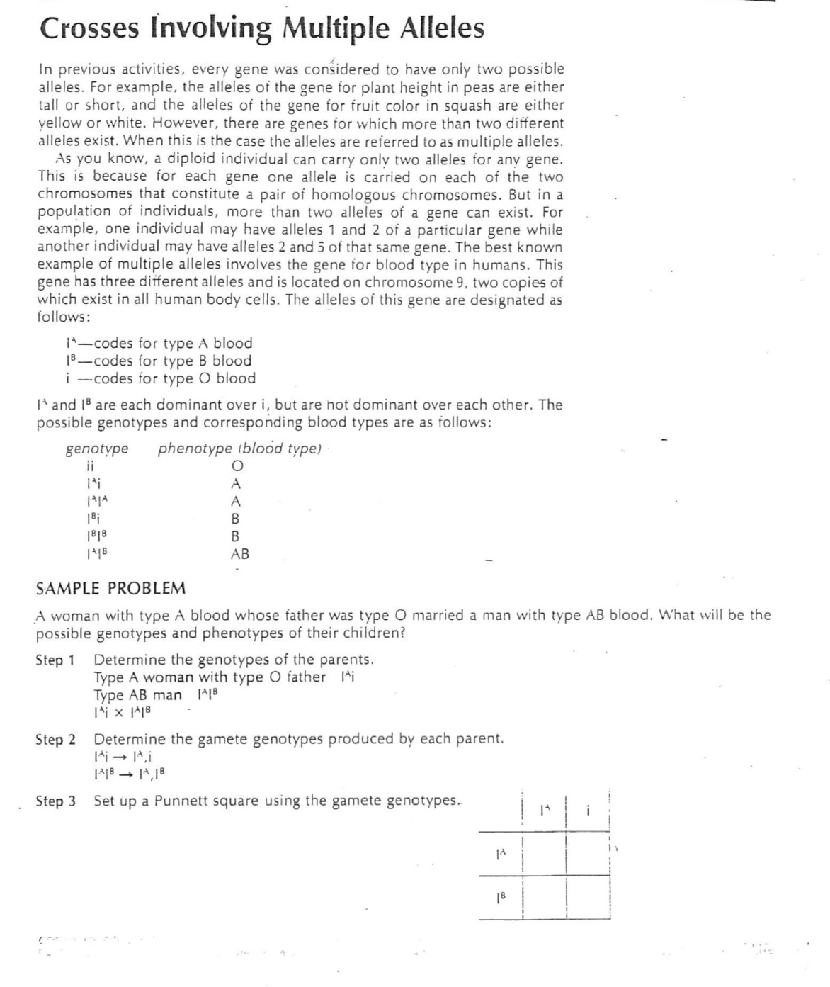 Crosses Involving Multiple Alleles
In previous activities, every gene was considered to have only two possible
alleles. For example, the alleles of the gene for plant height in peas are either
tall or short, and the alleles of the gene for fruit color in squash are either
yellow or white. However, there are genes for which more than two different
alleles exist. When this is the case the alleles are referred to as multiple alleles.
As you know, a diploid individual can carry only two alleles for any gene.
This is because for each gene one allele is carried on each of the two
chromosomes that constitute a pair of homologous chromosomes. But in a
population of individuals, more than two alleles of a gene can exist. For
example, one individual may have alleles 1 and 2 of a particular gene while
another individual may have alleles 2 and 5 of that same gene. The best known
example of multiple alleles involves the gene for blood type in humans. This
gene has three different alleles and is located on chromosome 9, two copies of
which exist in all human body cells. The alleles of this gene are designated as
follows:
I-codes for type A blood
18-codes for type B blood
i-codes for type O blood
I and 18 are each dominant over i, but are not dominant over each other. The
possible genotypes and corresponding blood types are as follows:
genotype phenotype (blood type)
ii
Step 2
|A|A
18₁
1818
|A|B
Step 3
O
SAMPLE PROBLEM
A woman with type A blood whose father was type O married a man with type AB blood. What will be the
possible genotypes and phenotypes of their children?
Step 1
A
A
B
B
AB
Determine the genotypes of the parents.
Type A woman with type O father i
Type AB man |A|B
IX AB
Determine the gamete genotypes produced by each parent.
Pii
|A|B|A,18
Set up a Punnett square using the gamete genotypes..
|A
18