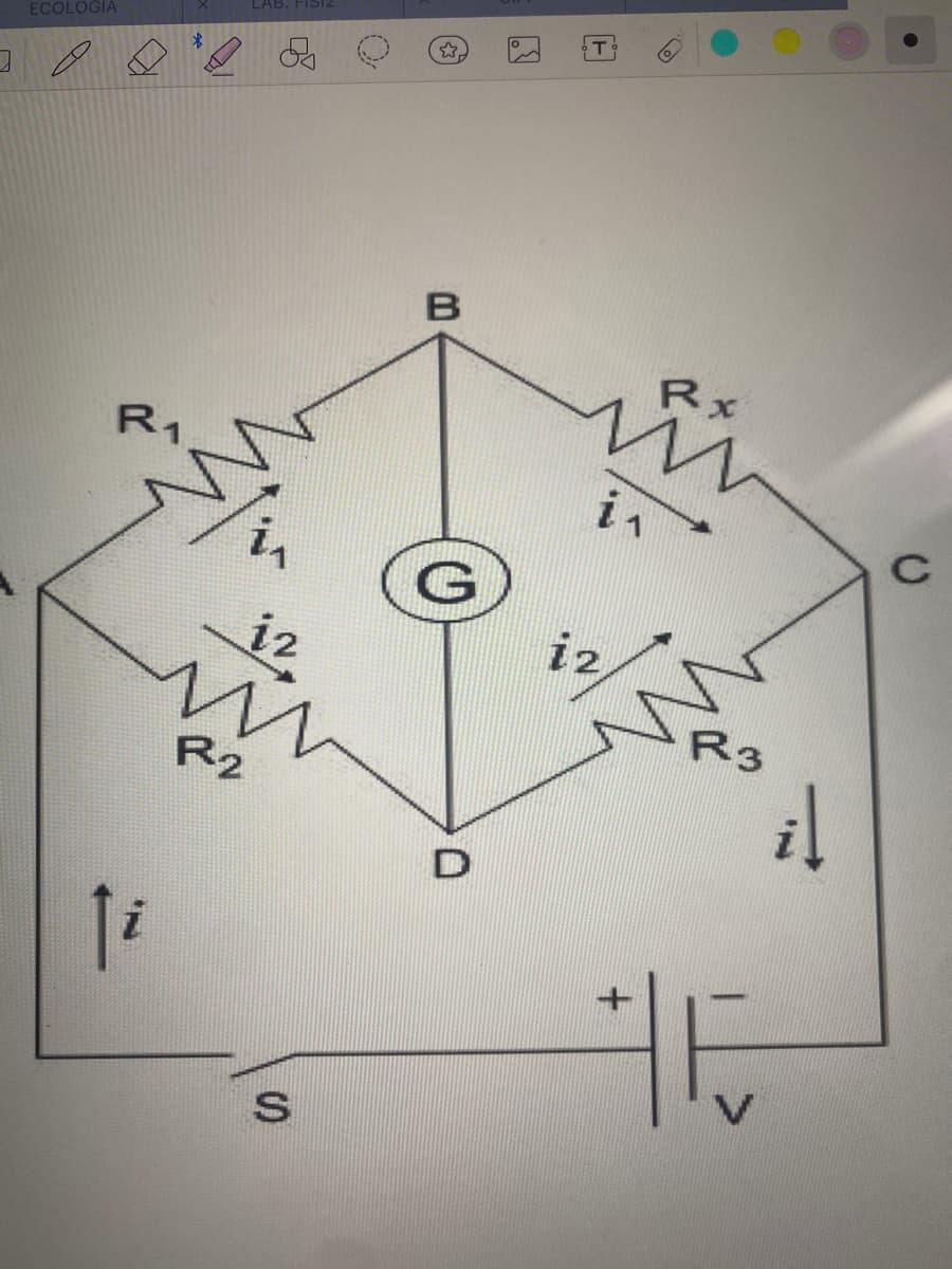 LAB. FIS1Z
ECOLOGIA
B
Rx
R1
in
C
i2
i2
R3
R2
