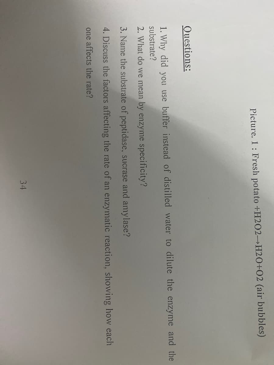 Picture. 1: Fresh potato +H202 H2O+02 (air bubbles)
Questions:
1. Why did you use buffer instead of distilled water to dilute the enzyme and the
substrate?
2. What do we mean by enzyme specificity?
3. Name the substrate of peptidase, sucrase and amylase?
4. Discuss the factors affecting the rate of an enzymatic reaction, showing how each
one affects the rate?
34
