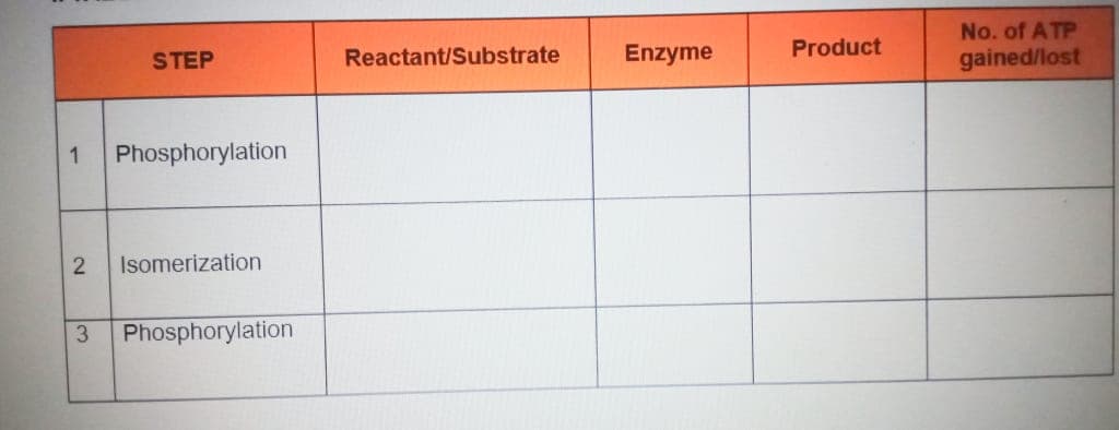 No. of ATP
gained/lost
STEP
Reactant/Substrate
Enzyme
Product
1
Phosphorylation
2
Isomerization
3.
Phosphorylation
