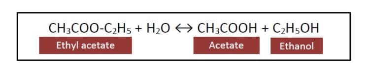 CH3COO-C2H5 + H2O > CH3COOH + C2H5OH
Ethyl acetate
Acetate
Ethanol
