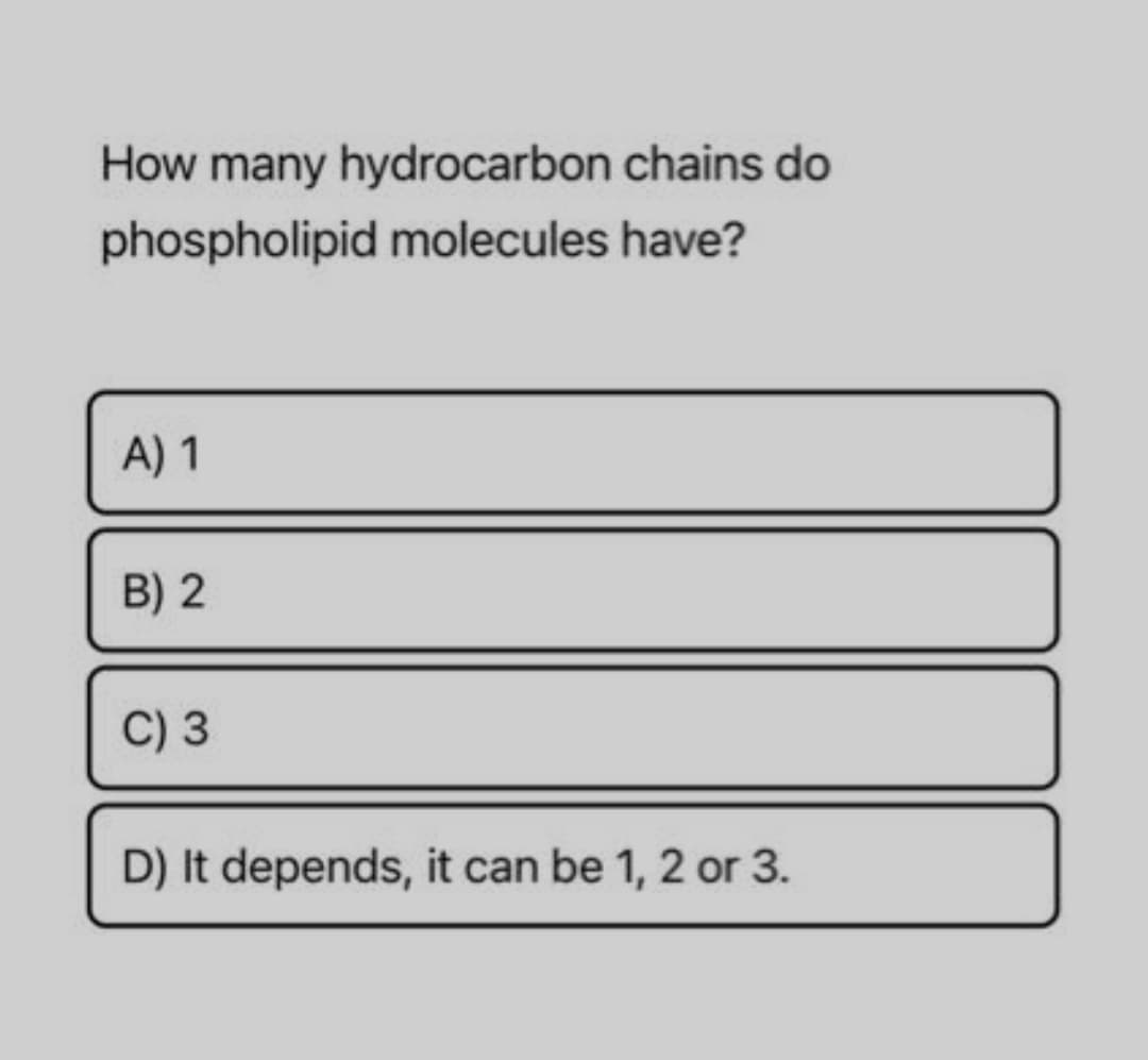 How many hydrocarbon chains do
phospholipid molecules have?
A) 1
B) 2
C) 3
D) It depends, it can be 1, 2 or 3.
