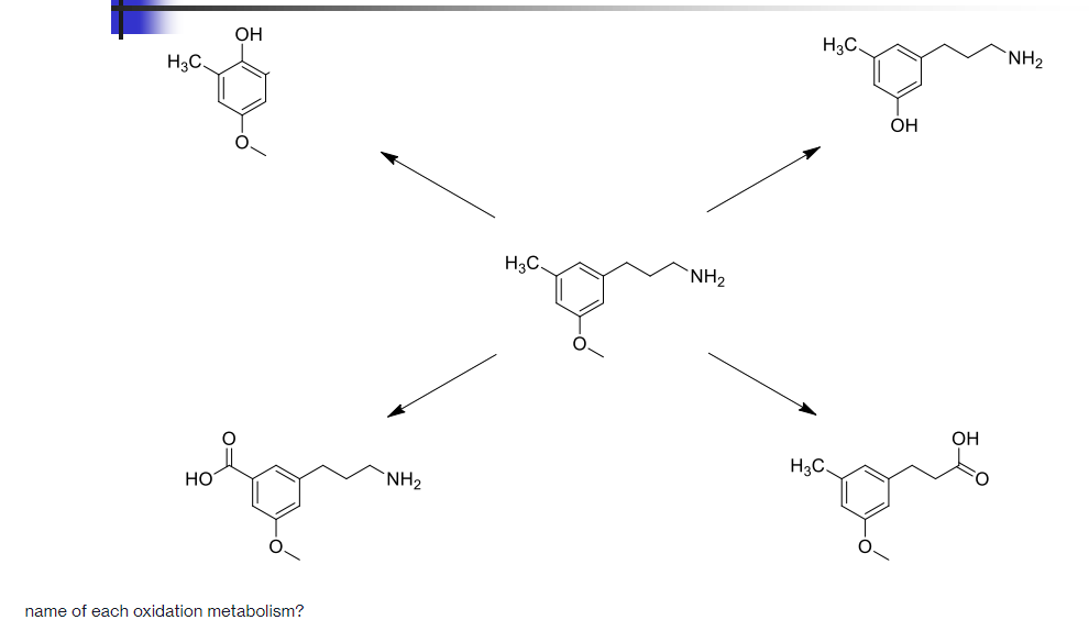 OH
H3C.
H3C.
`NH2
он
H3C.
`NH2
OH
H3C.
HO
`NH2
O.
name of each oxidation metabolism?
