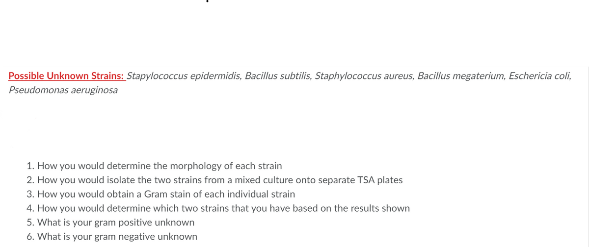 Possible Unknown Strains: Stapylococcus epidermidis, Bacillus subtilis, Staphylococcus aureus, Bacillus megaterium, Eschericia coli,
Pseudomonas aeruginosa
1. How you would determine the morphology of each strain
2. How you would isolate the two strains from a mixed culture onto separate TSA plates
3. How you would obtain a Gram stain of each individual strain
4. How you would determine which two strains that you have based on the results shown
5. What is your gram positive unknown
6. What is your gram negative unknown
