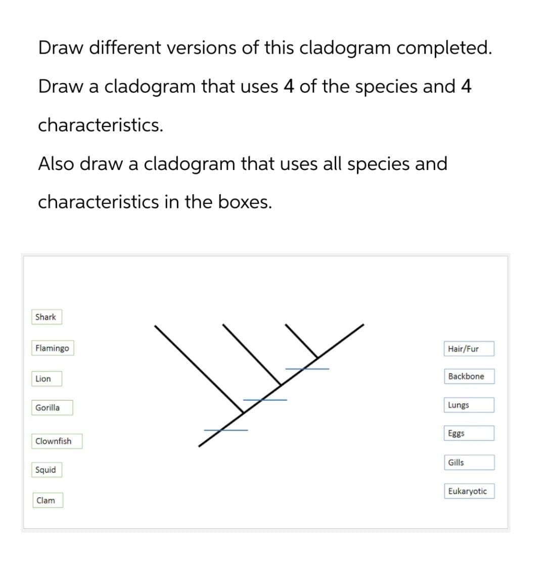 Draw different versions of this cladogram completed.
Draw a cladogram that uses 4 of the species and 4
characteristics.
Also draw a cladogram that uses all species and
characteristics in the boxes.
Shark
Flamingo
Lion
Gorilla
Hair/Fur
Backbone
Lungs
Clownfish
Eggs
Gills
Squid
Clam
Eukaryotic